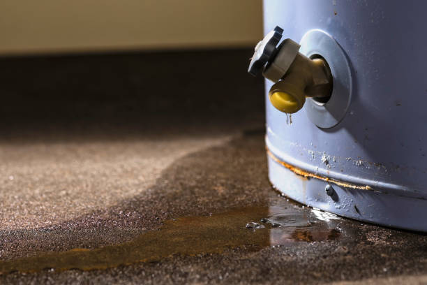 Best Water damage cleanup near me  in North Seekonk, MA