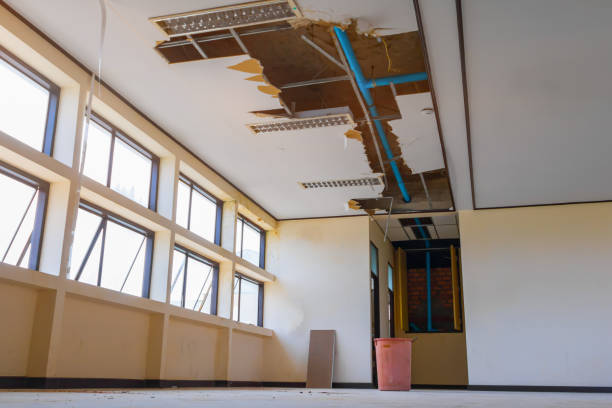 Best Water damage restoration near me  in North Seekonk, MA