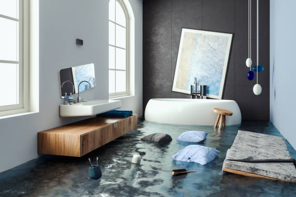 Best Water damage cleanup near me  in North Seekonk, MA