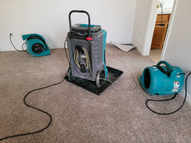 Best Basement water damage restoration  in North Seekonk, MA