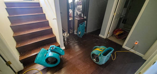 Best 24/7 water damage repair  in North Seekonk, MA