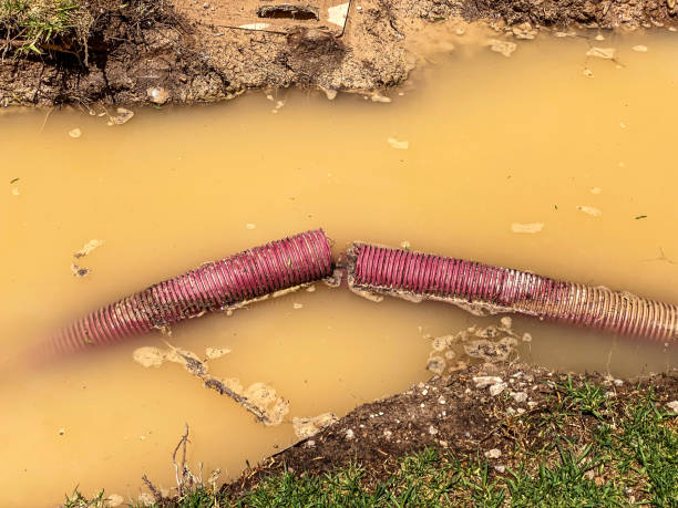 Best Flood damage cleanup  in North Seekonk, MA