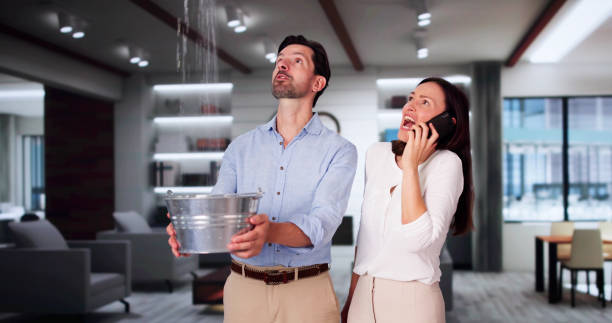 Best Water damage restoration near me  in North Seekonk, MA
